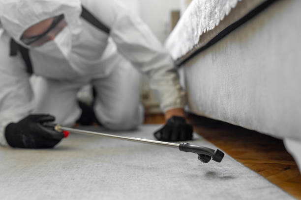 Professional Cockroach Control technician working in Cross Roads, TX