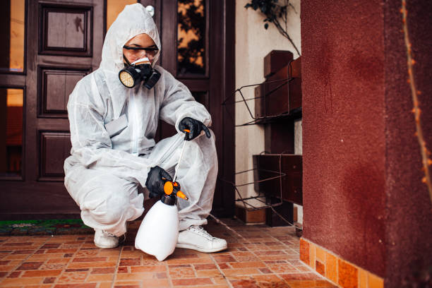 Reliable Cockroach Control contractor in Cross Roads, TX by Nex Pest Control