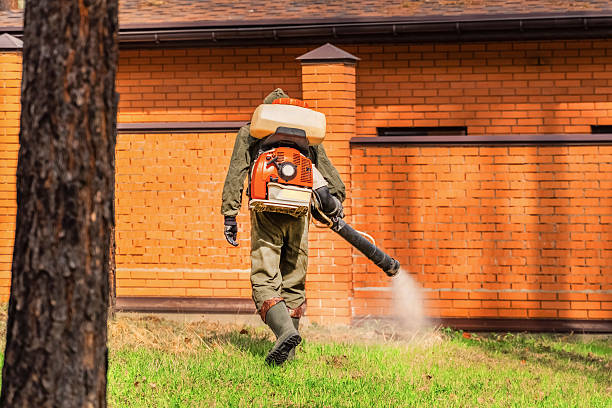 Trusted Cockroach Control service in Cross Roads, TX - Nex Pest Control